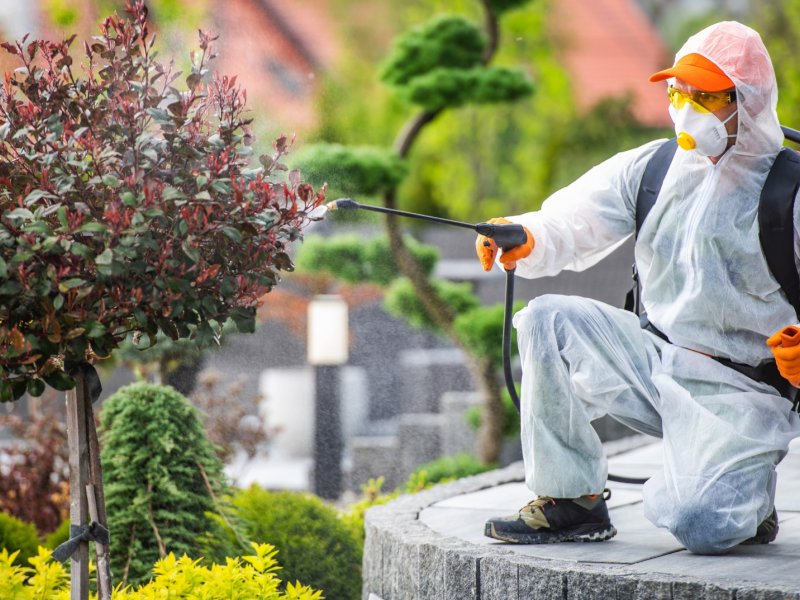 Acıpayam Haşere İlaçlama